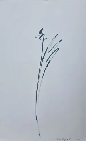 My Signature